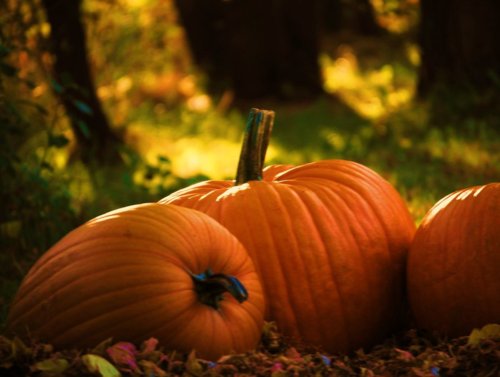 Celtic Autumn Treats