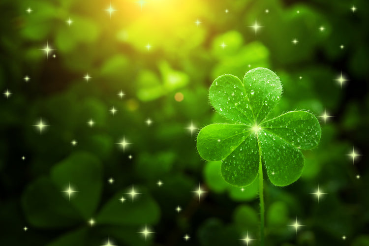 Irish Treats