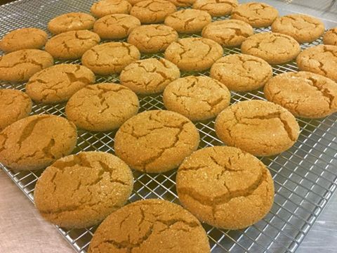 Ginger Snaps
