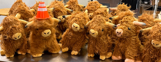 Heilan Coo Stuffie