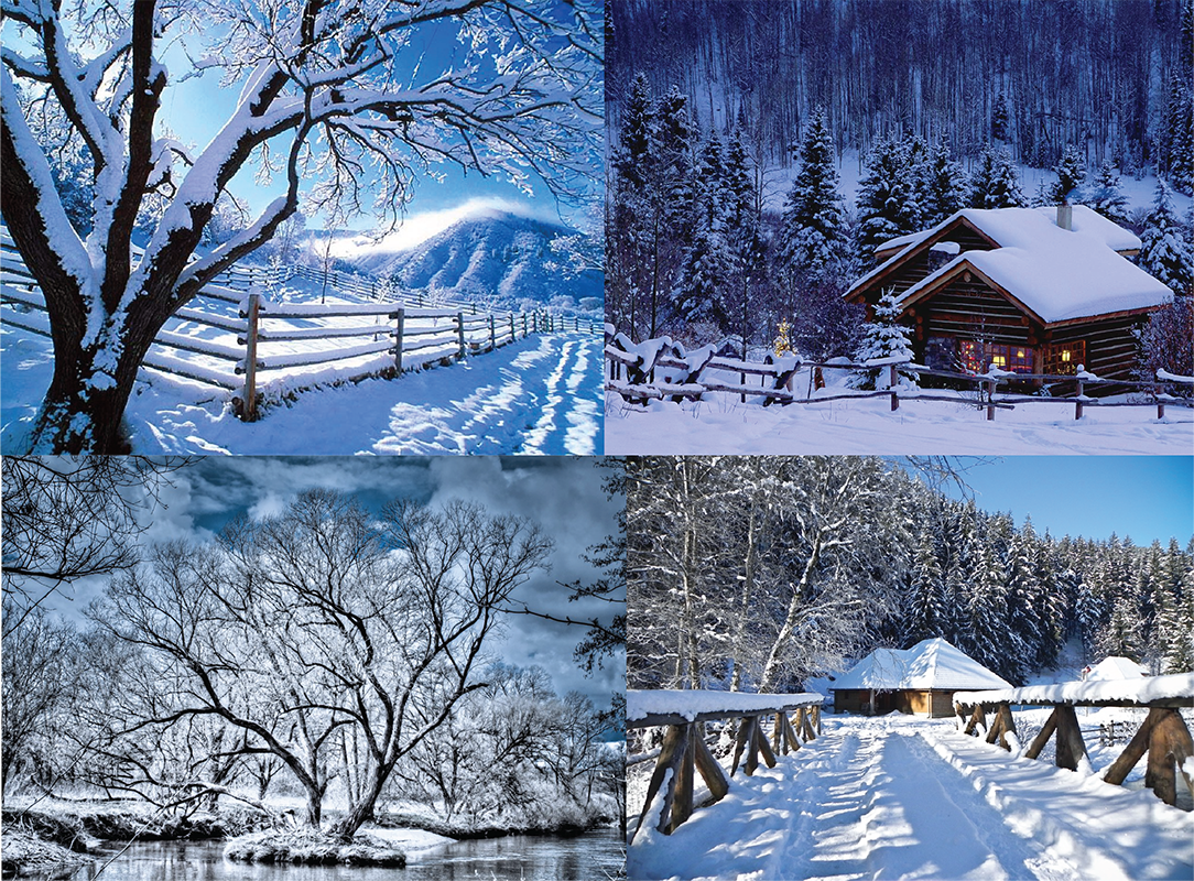 Winter Scenes screensaver photos